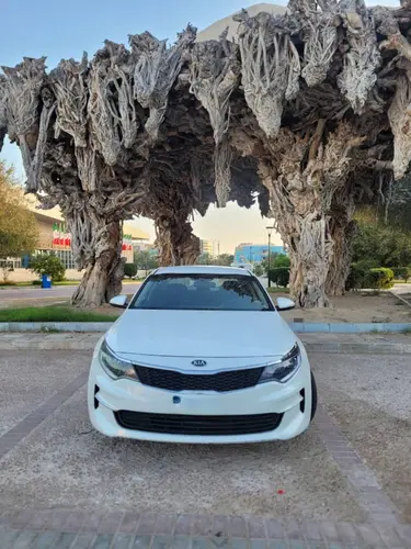 4481