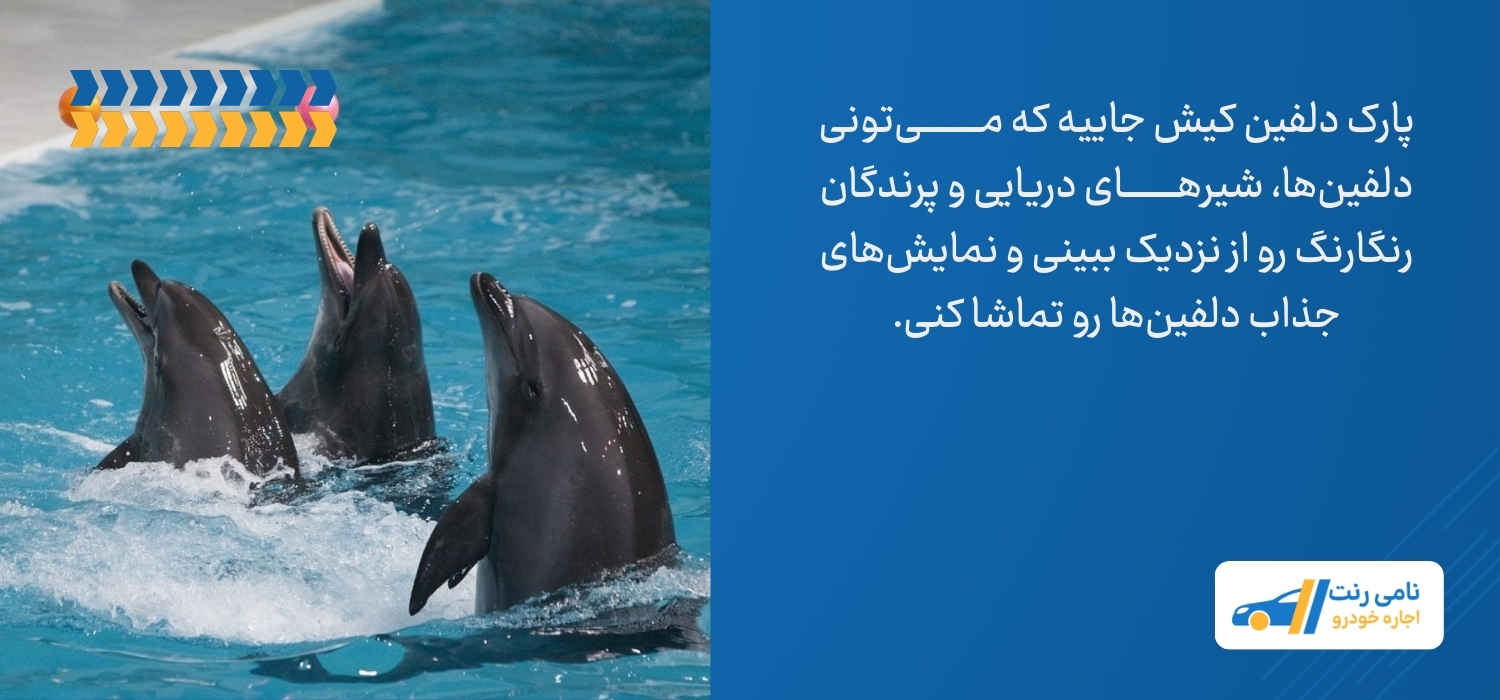 پارک دلفین کیش