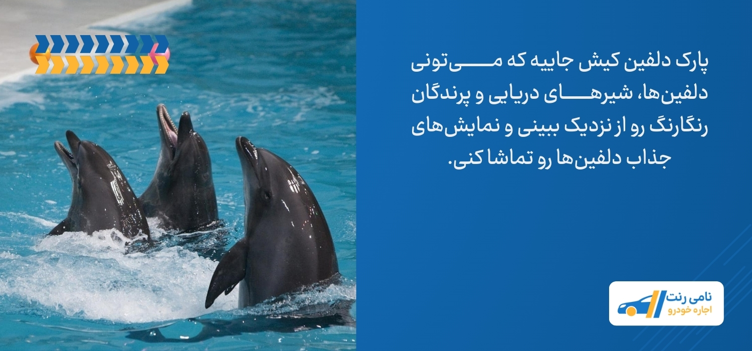 پارک دلفینهای کیش